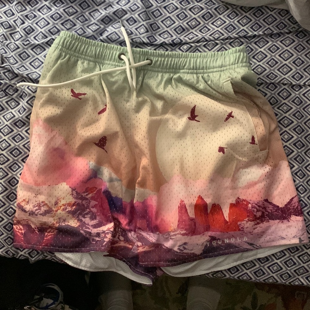 YoungLA 141 - Block Party shorts, Sedona Sunrise size M